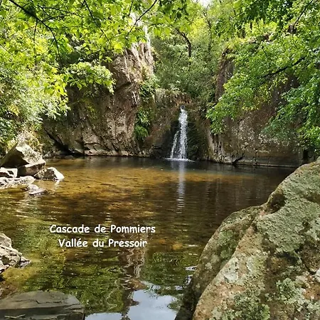 Harmonium Pour Un Sejour Au Calme